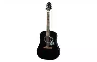 Epiphone Starling() 41D