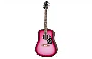 Epiphone Starling() 41D