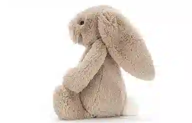 Jellycat Bashful Bunny