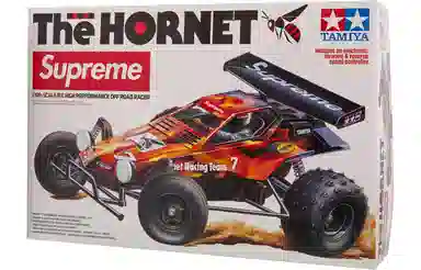 FW18 Hornet RC Car Flames