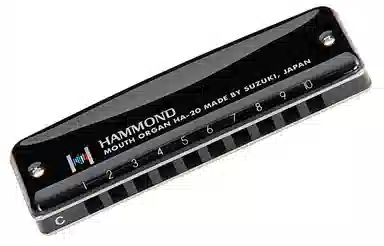 SUZUKI HA-20 Hammond( Blues 10