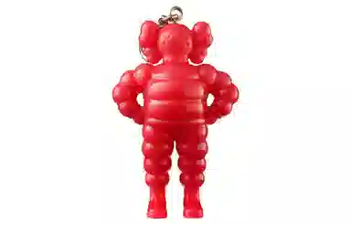 KAWS TOKYO FIRST CHUM