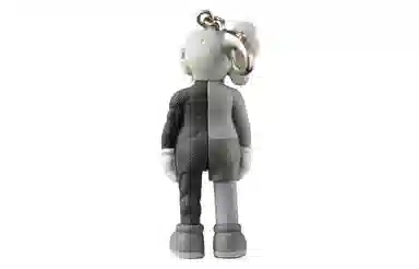 KAWS TOKYO FIRST COMPANION FLAYED