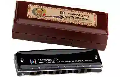 SUZUKI HA-20 Hammond( Blues 10