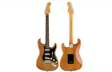 Fender American Professional II 2) Stratocaster
