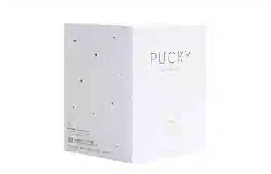 POP MART PUCKY 14.5cm