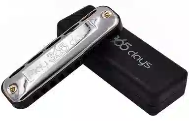 SUZUKI Play365days Blues C10