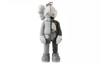 KAWS TOKYO FIRST COMPANION FLAYED