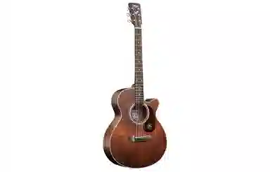 (Saga) SF800SA800 4041