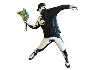 Banksy Flower Bomber