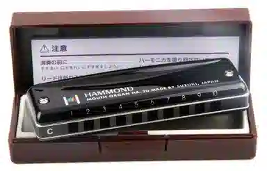 SUZUKI HA-20 Hammond( Blues 10