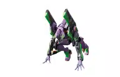 BANDAI RG EVA DX
