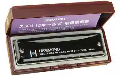 SUZUKI HA-20 Hammond( Blues 10