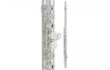 YAMAHA C YFL222YFLS2