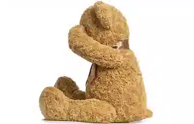 柏文熊 泰迪熊 领结害羞熊 粉色/紫色/卡其色 动物 玩偶 毛绒公仔