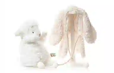 bunnies by the bay 7