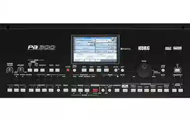 KORG PA300