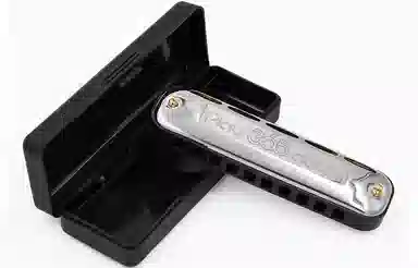 SUZUKI Play365days Blues C10