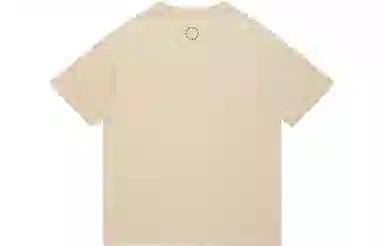 FEAROM T
