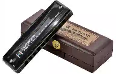 SUZUKI HA-20 Hammond( Blues 10