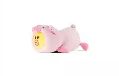 LINE FRIENDS line friends