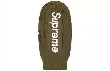 Supreme FW20 Week 17 New Era Balaclava