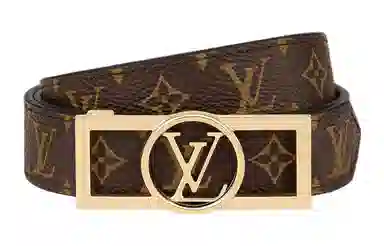 LOUIS VUITTON LV DAUPHINE 25 Monogram 2.5cm