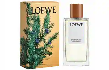 LOEWE EDT 150ml
