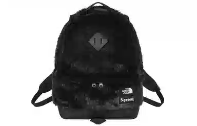 Supreme x The North Face FW20 Backpack