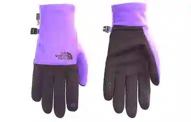 The North Face Etip Recycled Glove