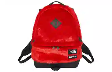 Supreme x The North Face FW20 Backpack