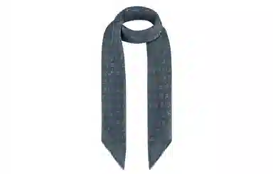 Louis Vuitton LV Shawl