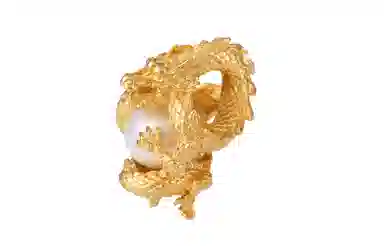 APORRO
