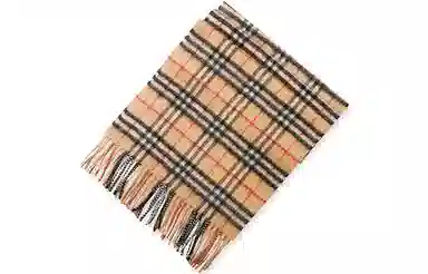 Burberry Classic Check Scarf Brown