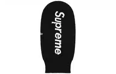 Supreme FW20 Week 17 New Era Balaclava
