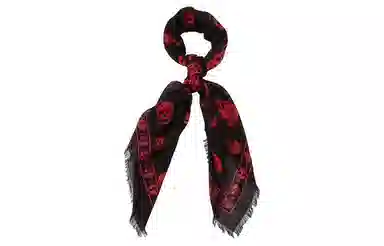 Alexander Mcqueen