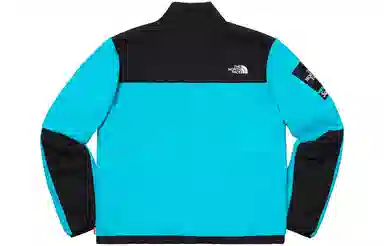 Supreme x THE NORTH FACE SS19