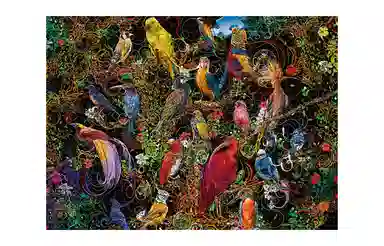 Ravensburger 1000pcs 17212