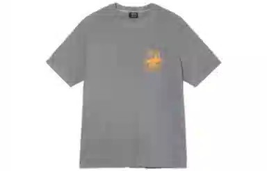 Stussy SS22 T