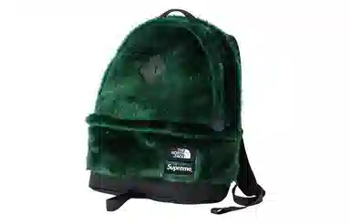 Supreme x The North Face FW20 Backpack