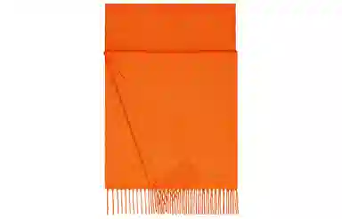 Hermes Logo Tassel Cashmere Scarf