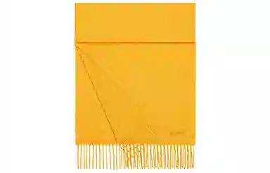 Hermes Logo Tassel Cashmere Scarf