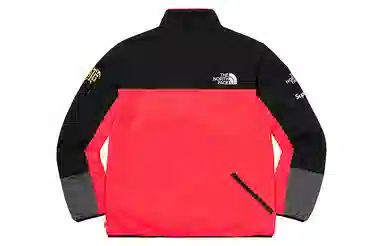 Supreme x THE NORTH FACE SS20 Week 3 RTG Fleece Jacket