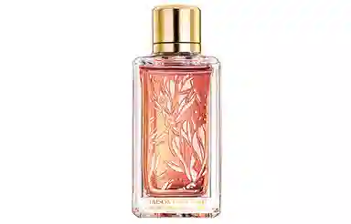 EDP 30ml100ml