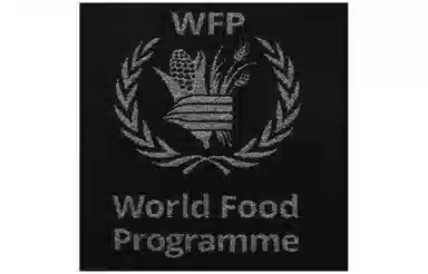 Balenciaga Logo Wool Scarf