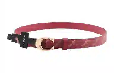 Coach Belt