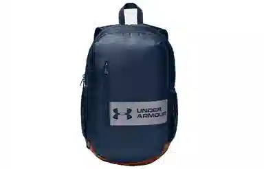 Under Armour Roland Navy Backpack