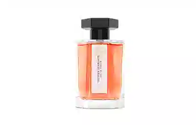 EDP 100ml
