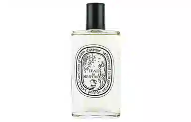 diptyque EDT 100ml