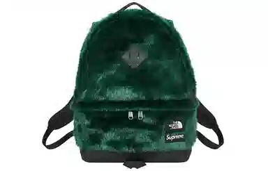 Supreme x The North Face FW20 Backpack